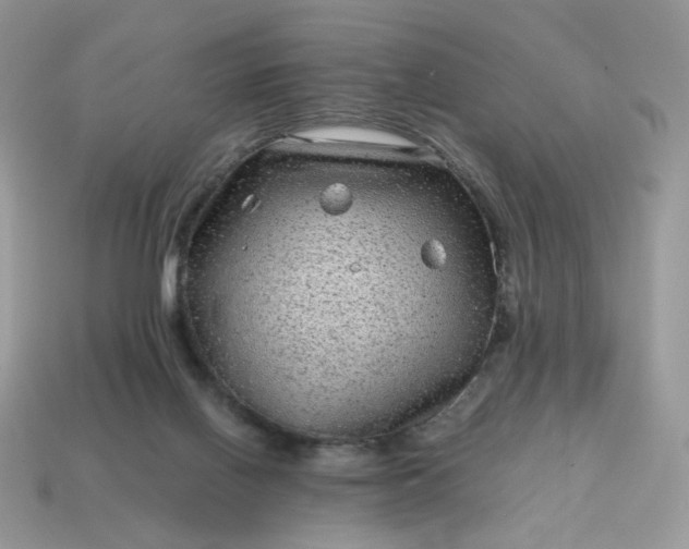 X0000115060070200911091455