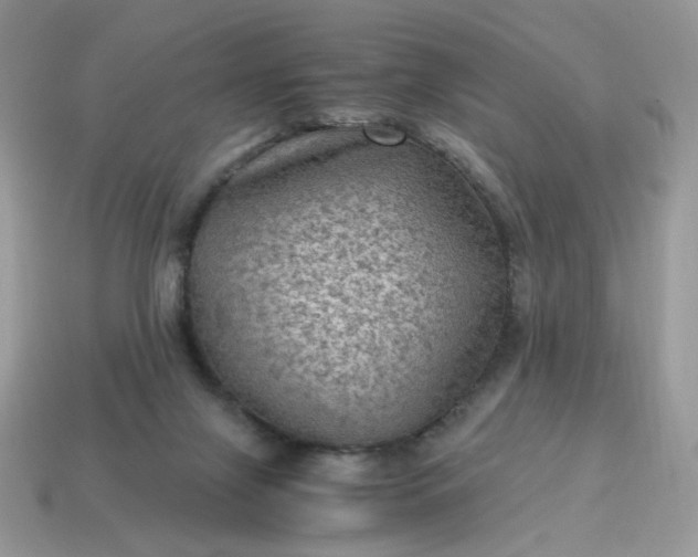 X0000115060071200911091455