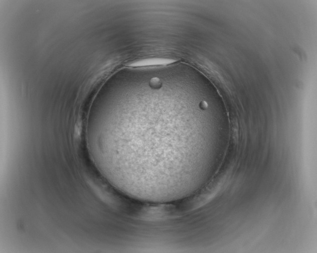 X0000115060072200911091455