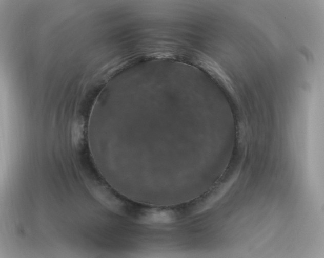 X0000115060073200911091455