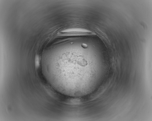 X0000115060075200911091455