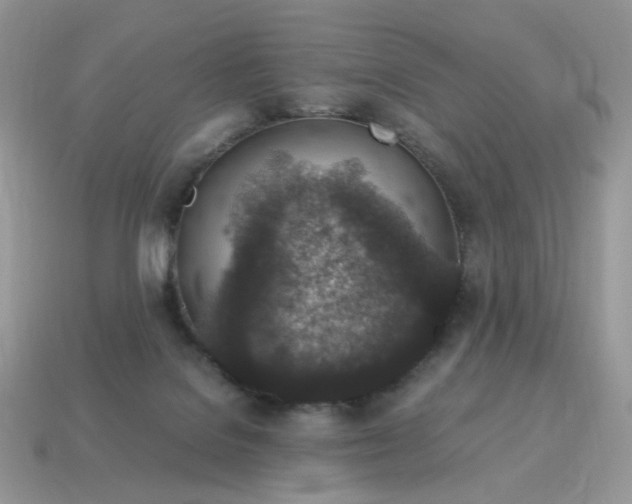 X0000115060076200911091455