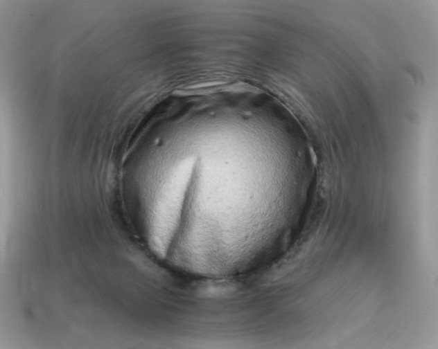 X0000115060077200911091455