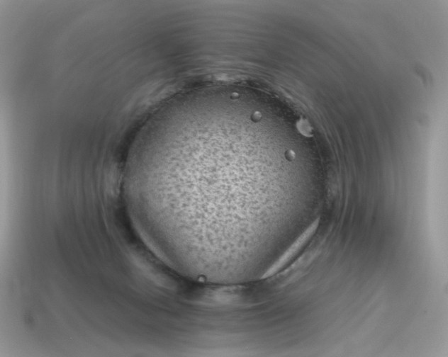 X0000115060078200911091455