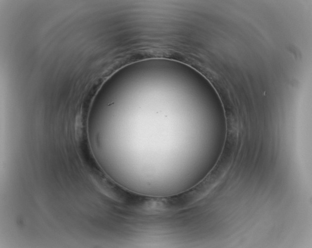 X0000115060080200911091455