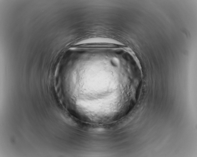 X0000115060081200911091455