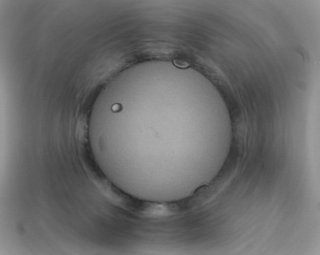 X0000115060083200911091455