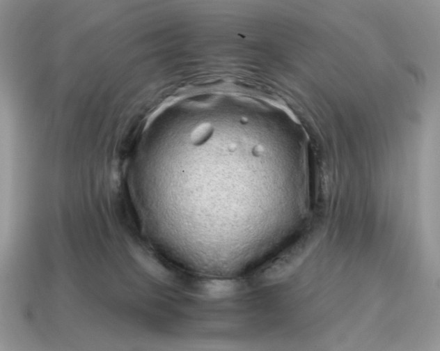 X0000115060085200911091455