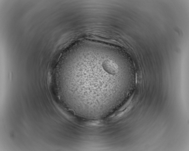 X0000115060086200911091455