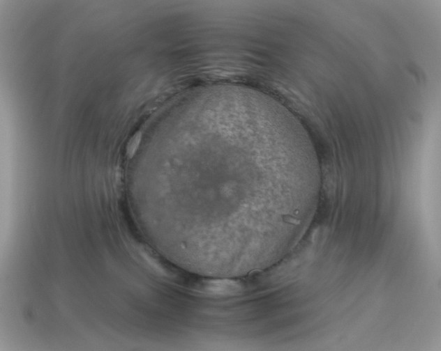 X0000115060087200911091455