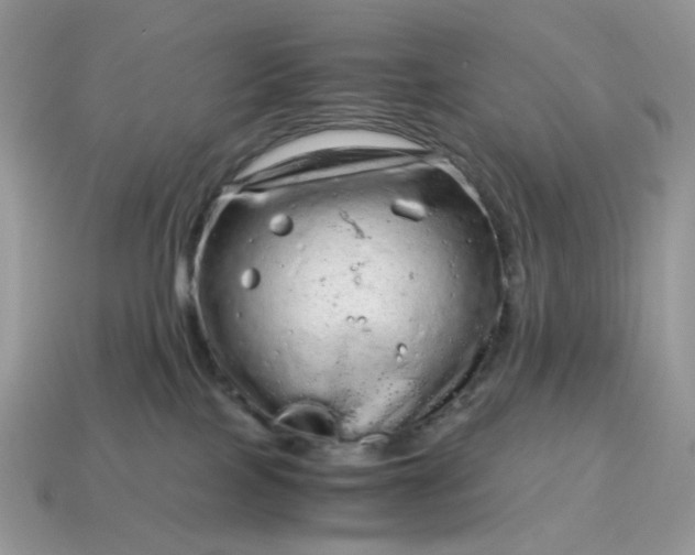 X0000115060089200911091455