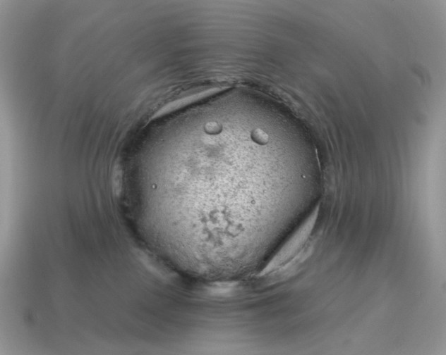 X0000115060090200911091455