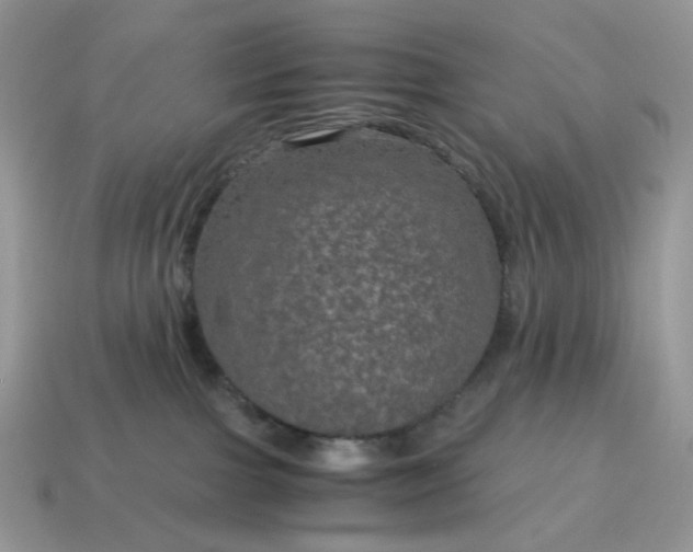 X0000115060091200911091455