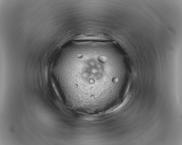 X0000115060094200911091455