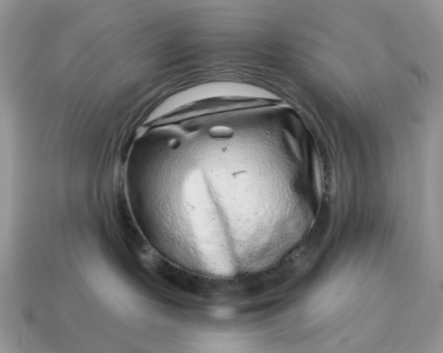 X0000115060095200911091455