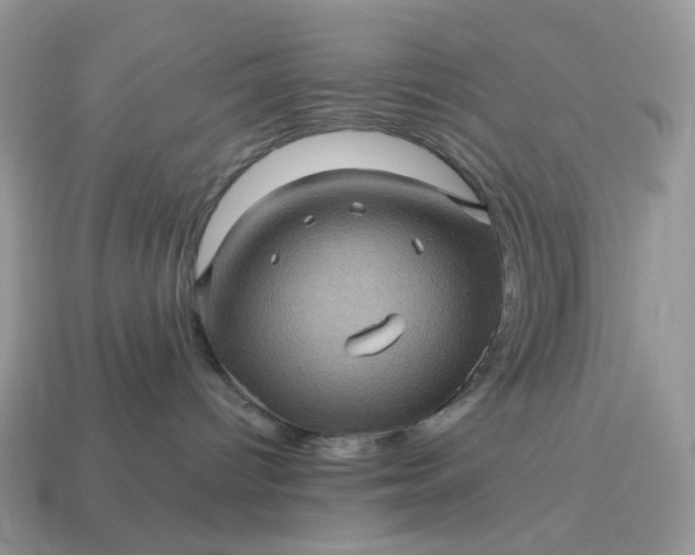 X0000115060096200911091455