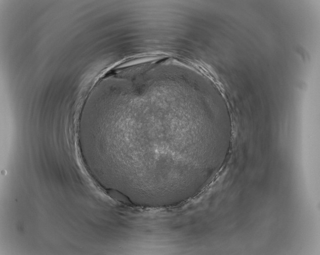 X0000115060097200911091455