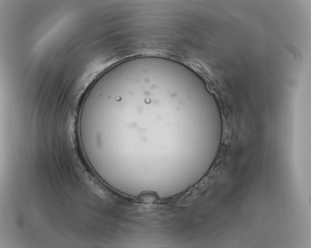 X0000115060098200911091455