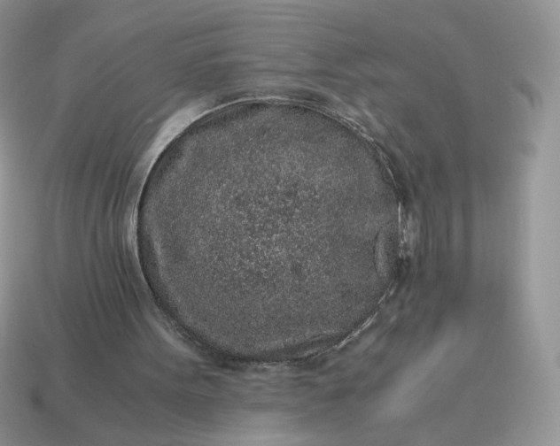 X0000115060099200911091454