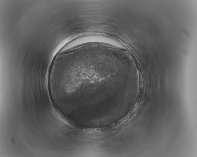 X0000115060100200911091454