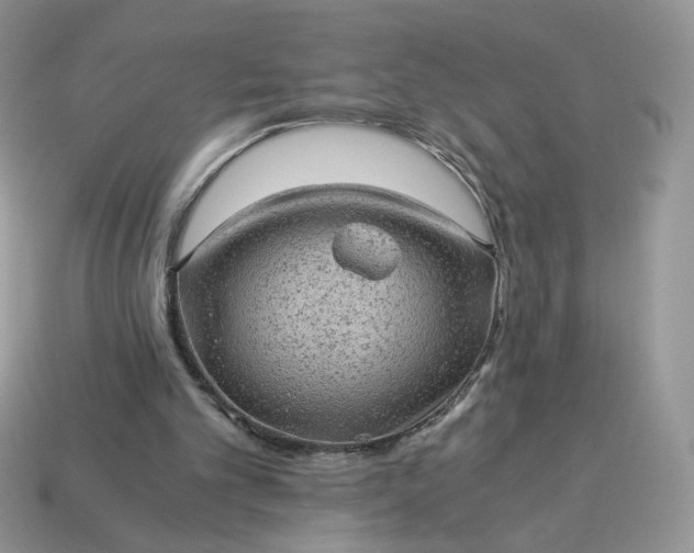 X0000115060101200911091454