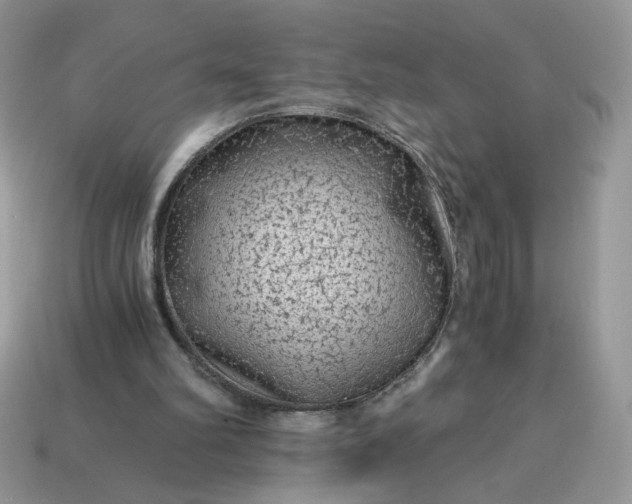 X0000115060102200911091454