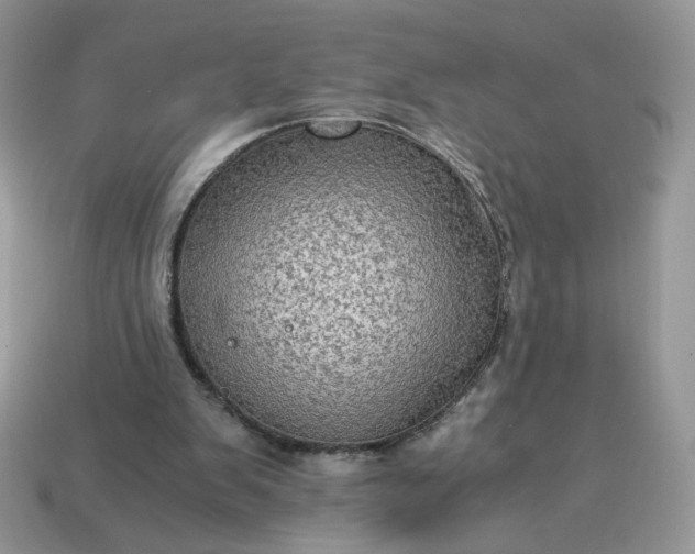 X0000115060103200911091454