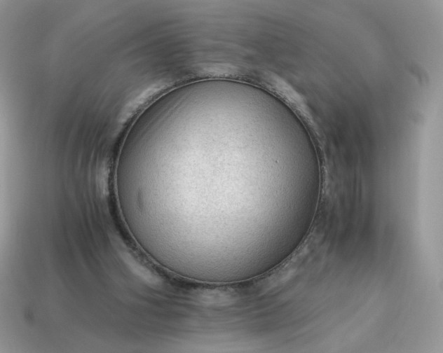 X0000115060106200911091454