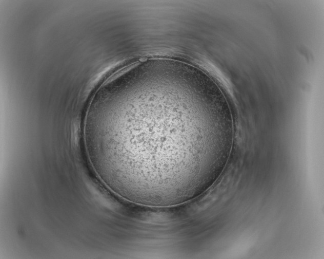 X0000115060107200911091454