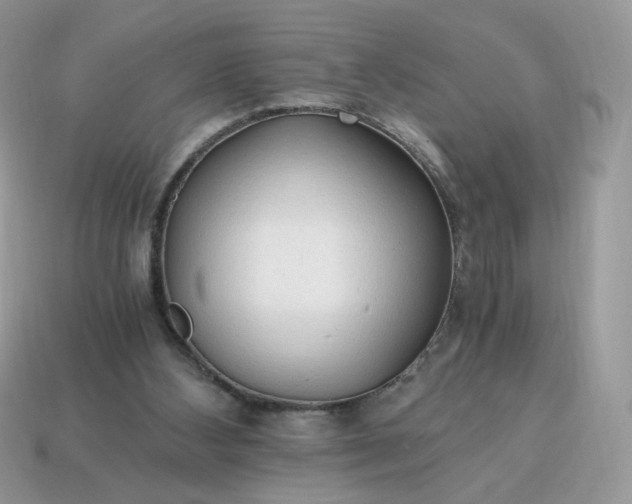 X0000115060108200911091454