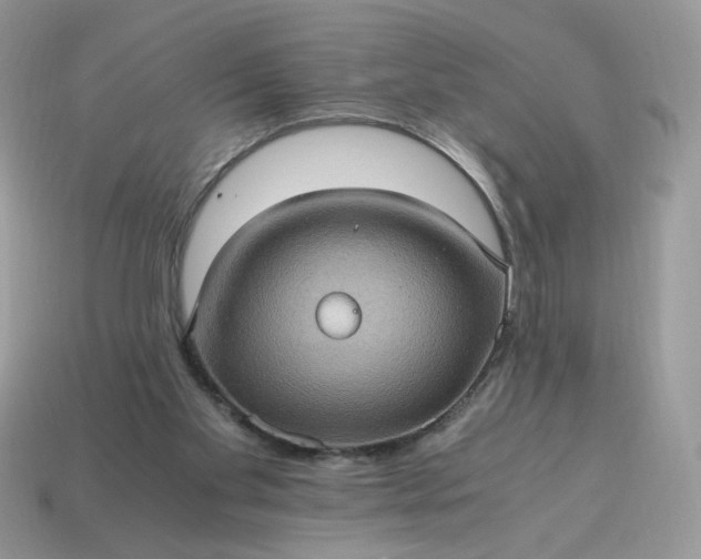 X0000115060109200911091454