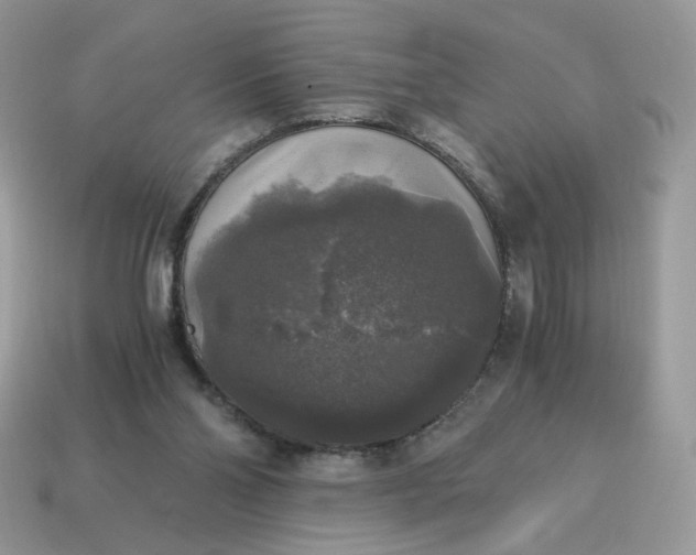 X0000115060110200911091454