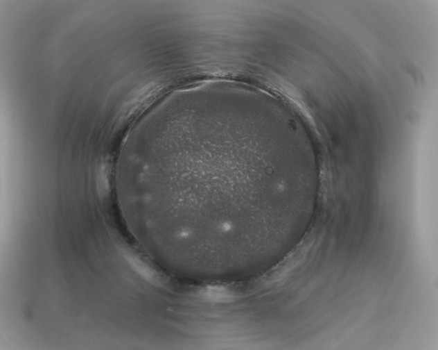 X0000115060114200911091454