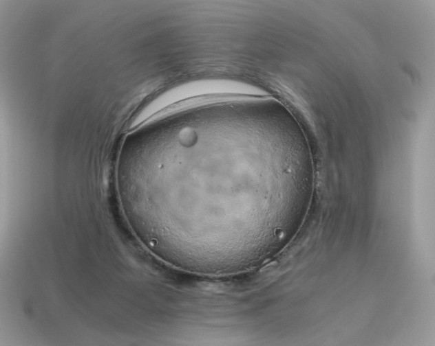 X0000115060115200911091454