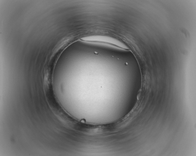 X0000115060116200911091454