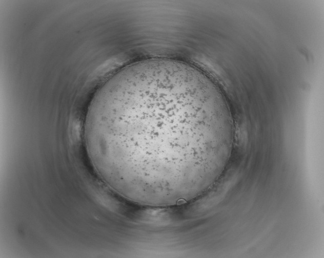 X0000115060117200911091454