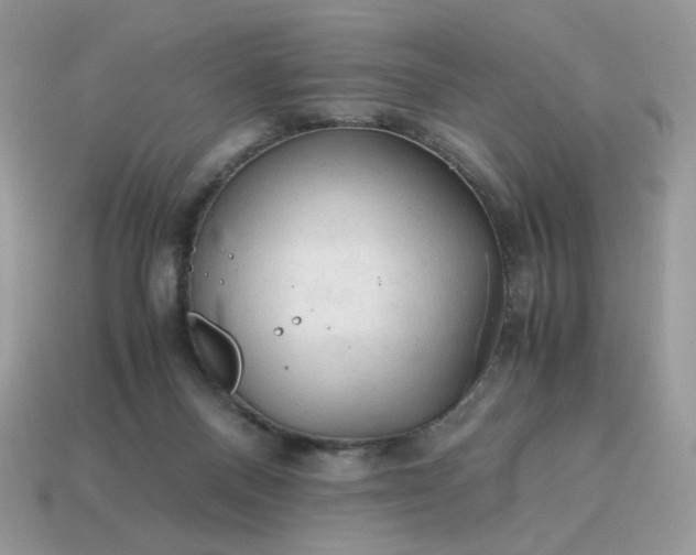 X0000115060120200911091454