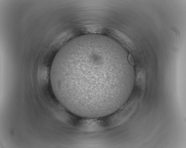 X0000115060121200911091454