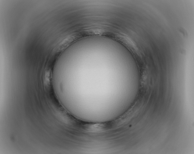 X0000115060122200911091454