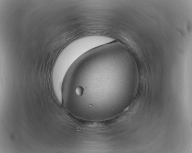 X0000115060125200911091454