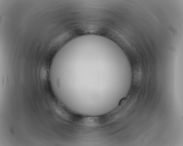 X0000115060126200911091454