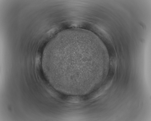 X0000115060127200911091454