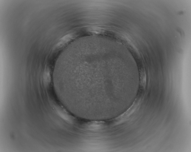 X0000115060128200911091454