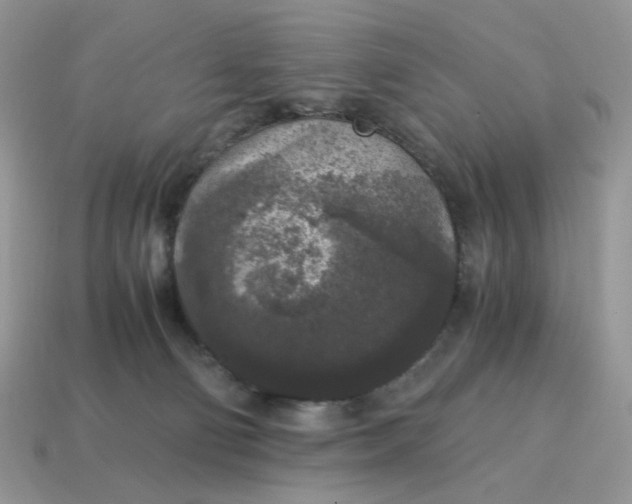 X0000115060130200911091454