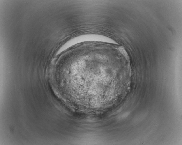 X0000115060131200911091454