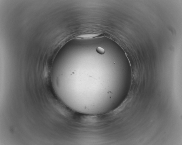 X0000115060132200911091454