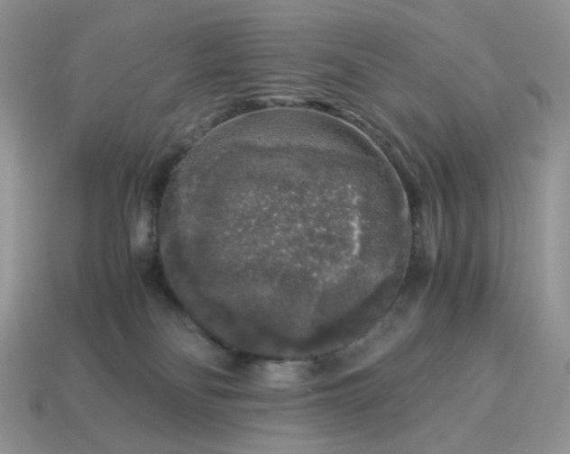 X0000115060134200911091454