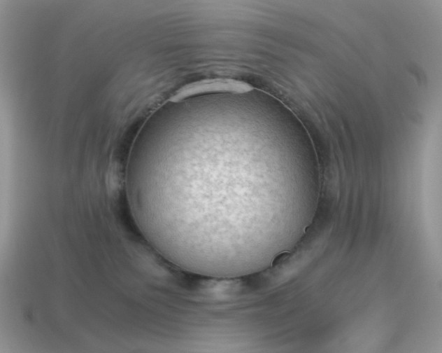 X0000115060135200911091454