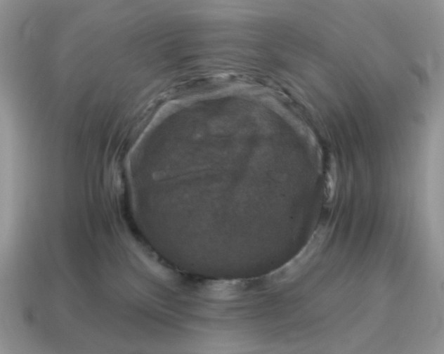 X0000115060136200911091454