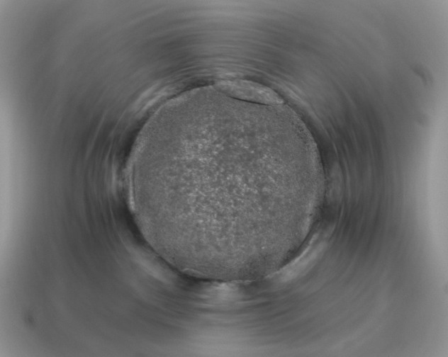 X0000115060140200911091454